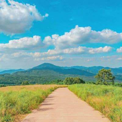 NG体育下载手机版