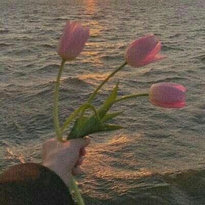 万博manbetx登录手机app下载